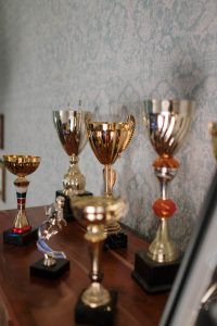 trophies on wooden surface